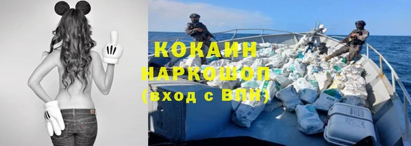 гидра Пересвет