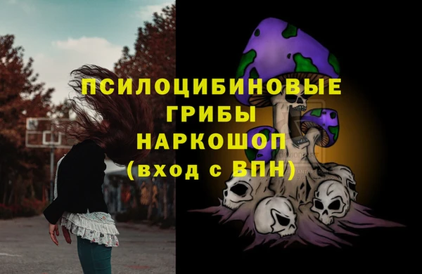 экстази Переславль-Залесский